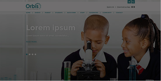 Flexi-theme website builder for schools on a budget!