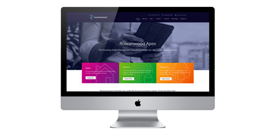 WordPress website for Rowanwood Professional Services 